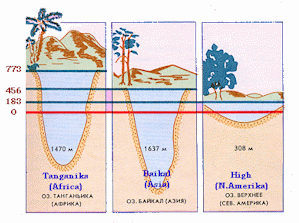 Comparison